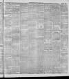 Stalybridge Reporter Saturday 10 March 1894 Page 5