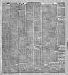 Stalybridge Reporter Saturday 04 May 1895 Page 3