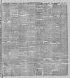 Stalybridge Reporter Saturday 04 May 1895 Page 5