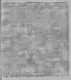 Stalybridge Reporter Saturday 15 January 1898 Page 3