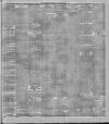 Stalybridge Reporter Saturday 22 January 1898 Page 3