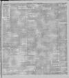 Stalybridge Reporter Saturday 06 January 1900 Page 3