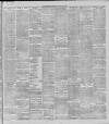 Stalybridge Reporter Saturday 06 January 1900 Page 7
