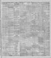Stalybridge Reporter Saturday 24 February 1900 Page 7