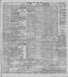 Stalybridge Reporter Saturday 17 March 1900 Page 7