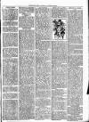 Wimbledon News Saturday 13 October 1894 Page 7