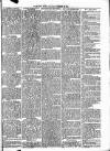 Wimbledon News Saturday 20 October 1894 Page 7