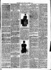 Wimbledon News Saturday 27 October 1894 Page 3