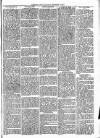 Wimbledon News Saturday 10 November 1894 Page 7