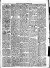 Wimbledon News Saturday 15 December 1894 Page 3