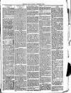 Wimbledon News Saturday 29 December 1894 Page 7