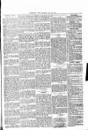 Wimbledon News Saturday 16 March 1895 Page 5