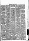 Wimbledon News Saturday 08 June 1895 Page 7