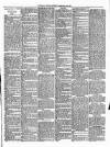 Wimbledon News Saturday 22 February 1896 Page 3
