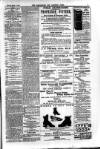 Carlow Nationalist Saturday 17 March 1888 Page 7