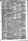 Carlow Nationalist Saturday 06 September 1890 Page 5