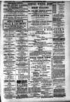 Carlow Nationalist Saturday 01 November 1890 Page 6