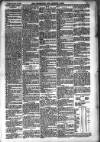 Carlow Nationalist Saturday 22 November 1890 Page 5