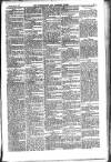 Carlow Nationalist Saturday 02 May 1891 Page 5