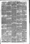 Carlow Nationalist Saturday 23 September 1893 Page 5