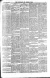 Carlow Nationalist Saturday 04 August 1894 Page 5