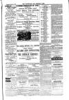 Carlow Nationalist Saturday 21 November 1896 Page 9