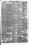 Carlow Nationalist Saturday 26 February 1898 Page 11