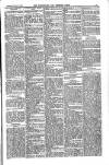 Carlow Nationalist Saturday 19 November 1898 Page 3
