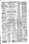 Carlow Nationalist Saturday 04 February 1899 Page 9