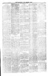 Carlow Nationalist Saturday 23 June 1900 Page 3
