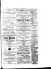 Carlow Nationalist Saturday 16 February 1901 Page 7