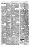 Forest Hill & Sydenham Examiner Friday 13 September 1895 Page 4