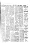 Forest Hill & Sydenham Examiner Friday 19 June 1896 Page 3
