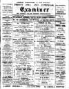 Forest Hill & Sydenham Examiner Friday 07 July 1899 Page 1