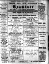 Forest Hill & Sydenham Examiner Friday 05 January 1900 Page 1