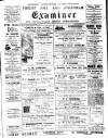 Forest Hill & Sydenham Examiner Friday 20 September 1901 Page 1