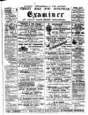 Forest Hill & Sydenham Examiner Friday 03 July 1903 Page 1