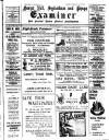 Forest Hill & Sydenham Examiner Friday 10 January 1919 Page 1