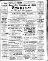 Forest Hill & Sydenham Examiner