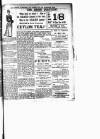 Lewisham Borough News Thursday 11 February 1892 Page 3