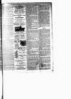 Lewisham Borough News Thursday 11 February 1892 Page 5