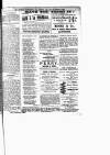 Lewisham Borough News Thursday 25 February 1892 Page 3
