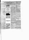 Lewisham Borough News Thursday 25 February 1892 Page 5
