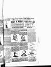 Lewisham Borough News Thursday 31 March 1892 Page 3