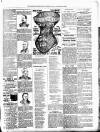 Lewisham Borough News Thursday 15 September 1892 Page 3