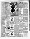 Lewisham Borough News Thursday 06 October 1892 Page 3
