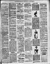 Lewisham Borough News Thursday 09 February 1893 Page 3