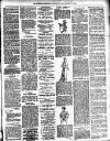 Lewisham Borough News Thursday 02 March 1893 Page 3