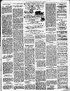 Lewisham Borough News Thursday 15 March 1894 Page 3