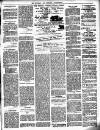 Lewisham Borough News Thursday 05 April 1894 Page 3